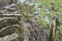 CrownFarmPaddock_bordering_LondonLaneGardens_2ndJan2024