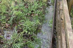 Crown Farm Paddock _bordering_houses_TheGreen_2ndJan2024