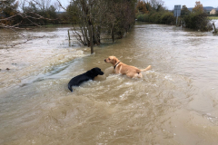 London Lane Chippy Hill side by Grippers drive 15 Nov 2019