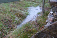 Other Crown Farm field 2019-11-14