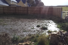 Other - behind/below Foresters Court 2023-10-29