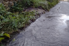 London Lane  2023-11-03