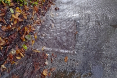 London Lane  2023-11-03