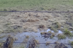 Other - on proposed site 2023-11-04