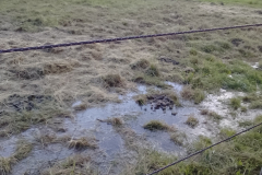 Other - on proposed site 2023-11-04