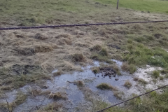 Other - on proposed site 2023-11-04