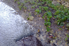 London Lane  2023-11-15