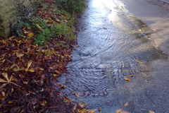 London Lane  2023-11-15