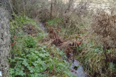 Other Crown Farm field - proposed site 2023-12-04