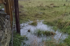 Other Crown Farm field - proposed site 2023-12-04