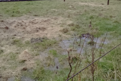 Other Crown Farm field - proposed site 2023-12-04