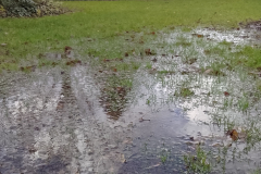 Other Garden backing onto Crown Farm field site 9 December 2023