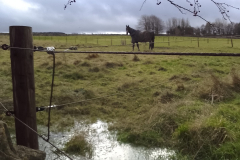 Other Crown Farm field site 9 December