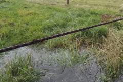 Other Crown Farm field site 9 December