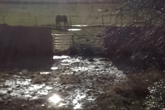 Other Crown Farm field site 9 December 2023