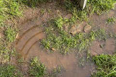 Other Obsidian Proposal Site 2023-10-20