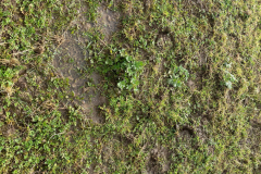 Other Obsidian Proposal Site 2023-10-20