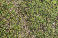 Other Obsidian Proposal Site 2023-10-20