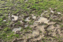 Other Obsidian Proposal Site 2023-10-20