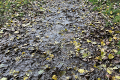 High Street  2023-10-20