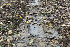 High Street  2023-10-20