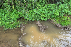 High Street  2023-10-20