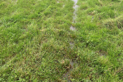 Other Manor Farm 2023-10-23