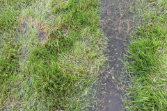 Other Manor Farm 2023-10-23