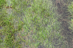 Other Manor Farm 2023-10-23