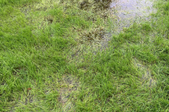 Other Manor Farm 2023-10-23