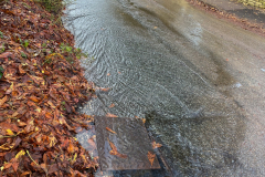 London Lane  2023-11-29