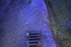 Other  7 December 2023