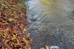 London Lane  2023-11-23