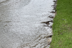 LondonLane_2ndJan2024