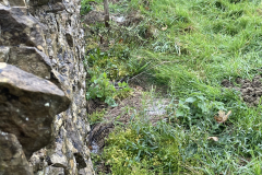 Other saturated paddock edge bordering back garden 8 London Lane 20 October 2023