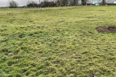 Other Crown Farm paddock 9 Dec 2023