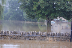 Centre Village green 21 July2007