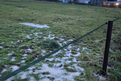 London Lane Garden backing onto Obsidian Field 2023-12-07