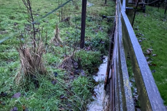 London Lane Garden backing onto Obsidian Field 2023-12-07