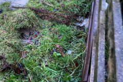 London Lane Garden backing onto Obsidian Field 2023-12-07