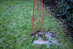 London Lane Garden backing onto Obsidian Field 2023-12-07