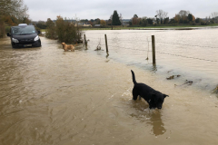London Lane chippy hill side 15 Nov 2019